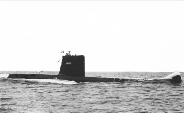 MARINE-DAPHNE 