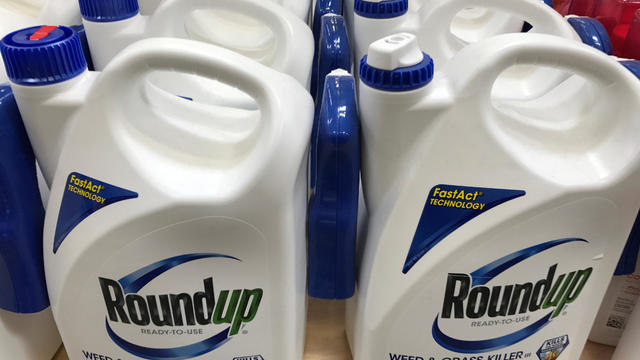 FILE PHOTO: Monsanto Co's Roundup shown for sale in California 