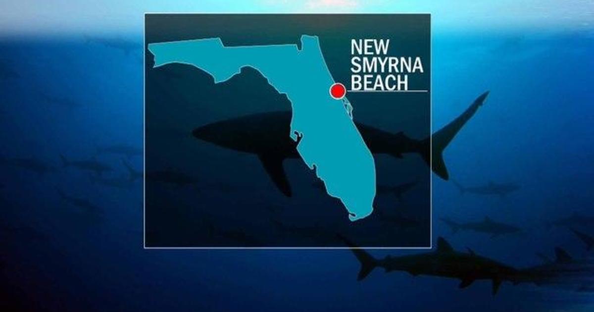 Florida Shark Attacks 3 People Bitten Shark Attacks At New Smyrda Beach Within 24 Hours Or Each Other Cbs News