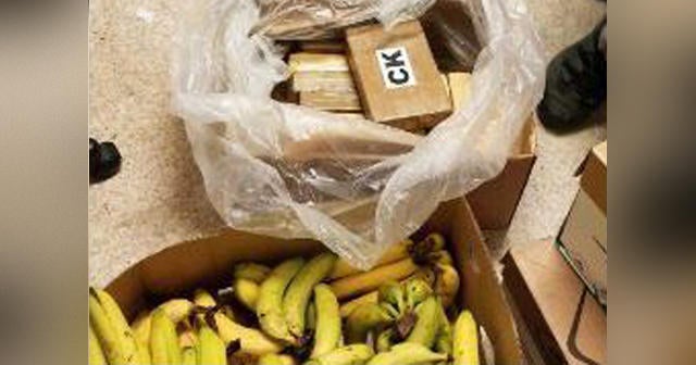 Cocaine worth more than $1 million found hidden in banana shipments in Washington state Safeway grocery stores - Vimarsana News