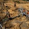 Destruction of Amazon rainforest accelerates amid coronavirus