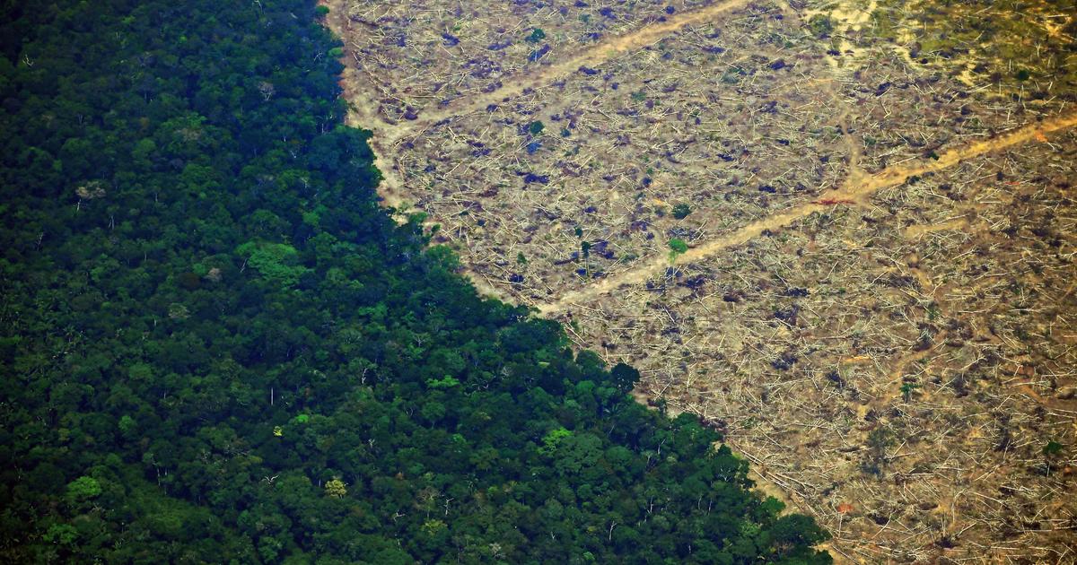 Pictures From The Amazon Rainforest Fires In Brazil Cbs News