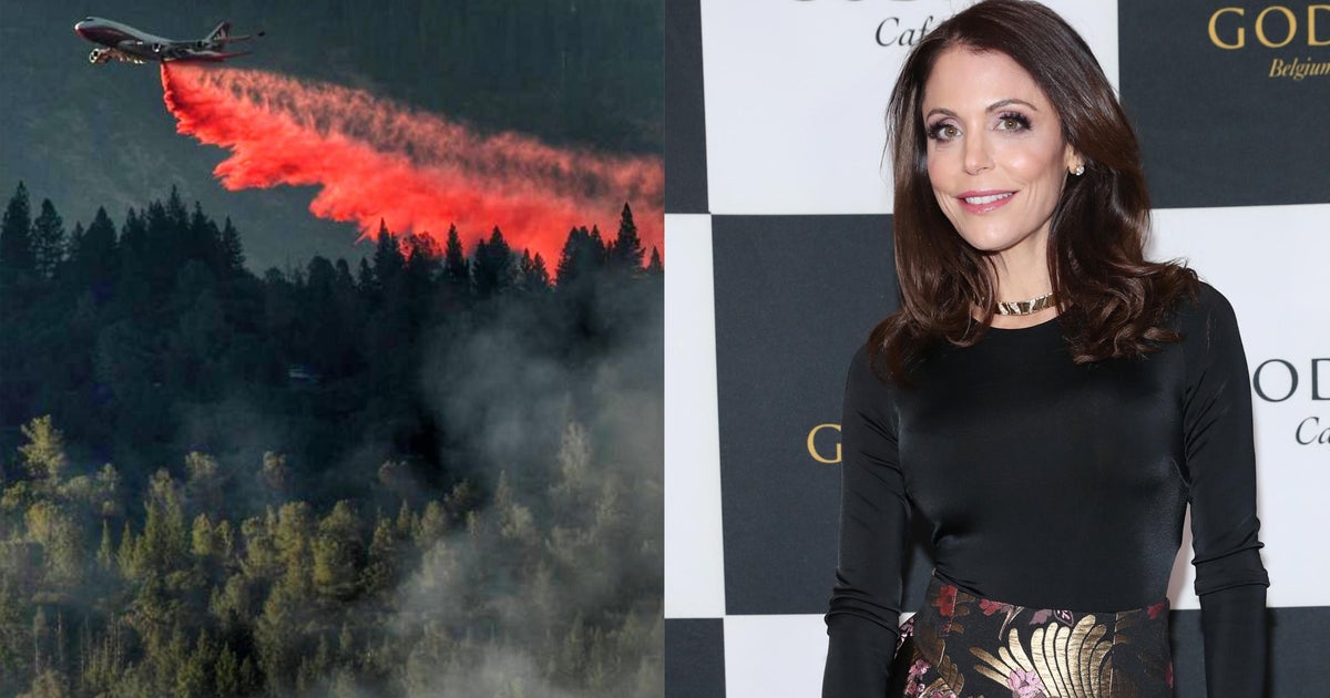 Amazon rainforest fires Bethenny Frankel says she'll send a