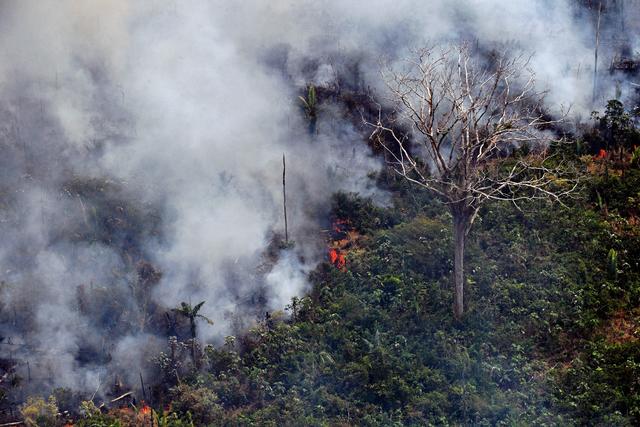 Amazon Rainforest Fires Sharply Increased In June Raising Concerns About A Repeat Of Last Year S Devastation Cbs News