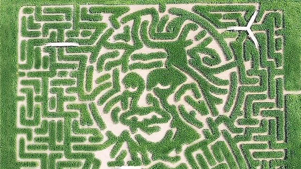 sterling corn maze Albert Einstein 