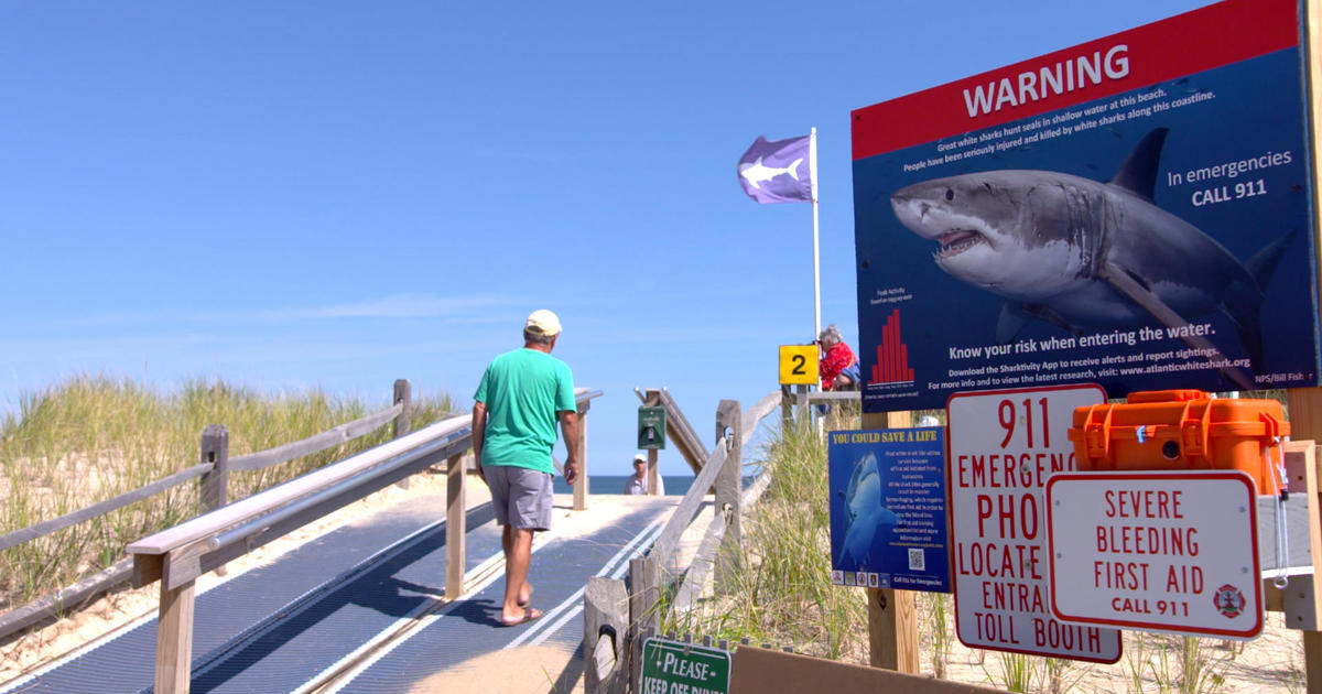 How to be shark smart at Cape Cod CBS News