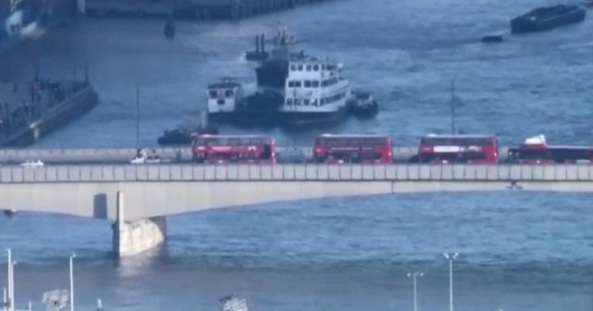 Image result for london bridge terror attack 2019