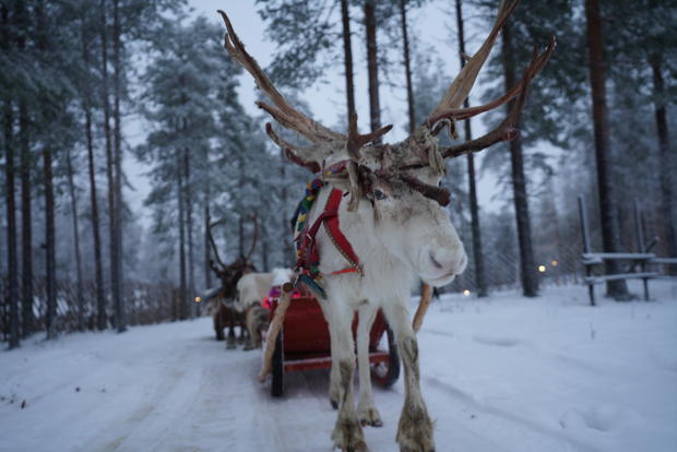 reindeer-santas-village.jpg 