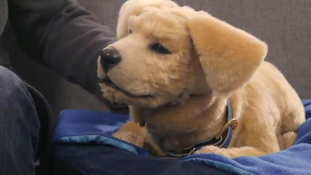Attendees walk through the hall at the Sands Expo Convention Center during the Consumer Electronics Show on January 10, 2019, in Las Vegas, Nevada. 