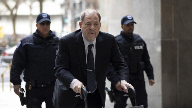 weinstein10.jpg