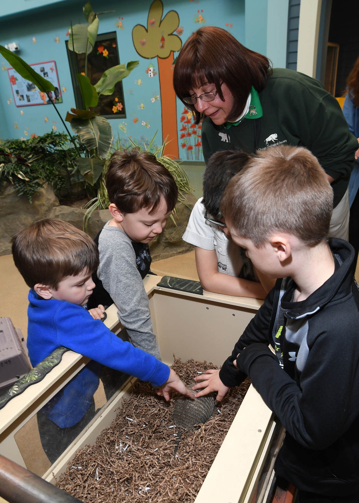 Brookfield Zoo Offering Sensory Friendly Morning CBS Chicago