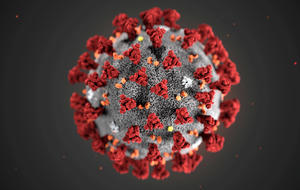 Coronavirus CDC illustration 