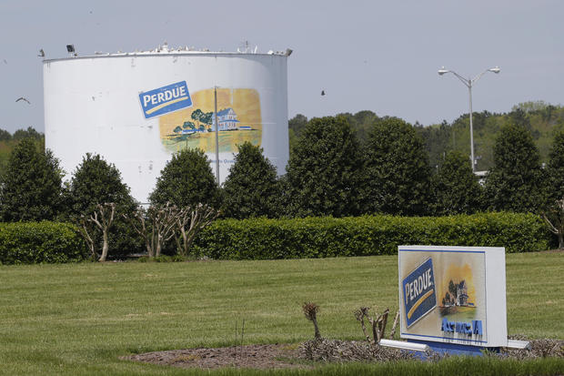 coronavirus — Perdue poultry plant in Virginia 