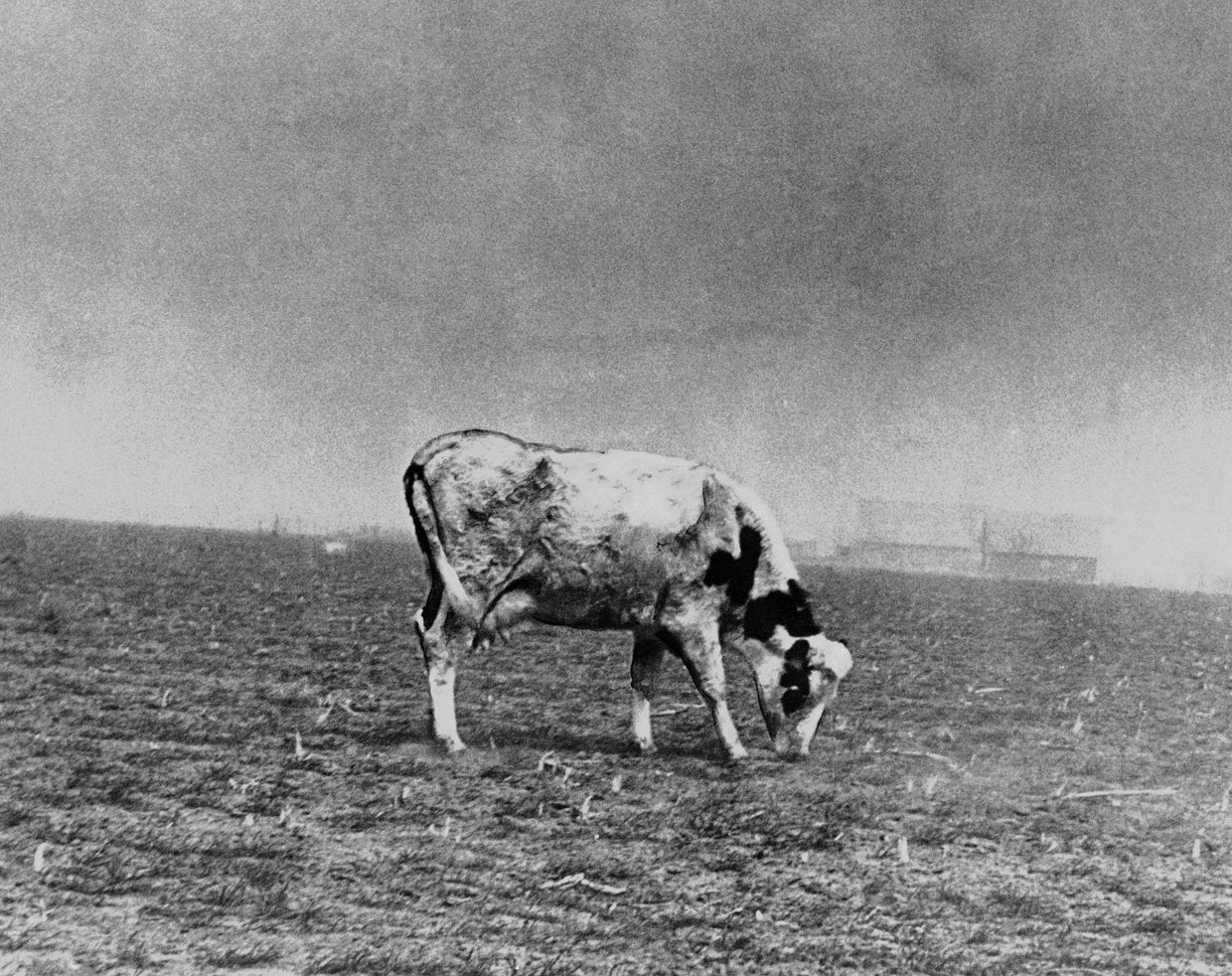 A devastating Dust Bowl heat wave is now more than twice as likely