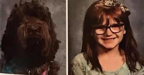 School surprises 7-year-old girl with a photo of her service dog in the yearbook - Vimarsana News