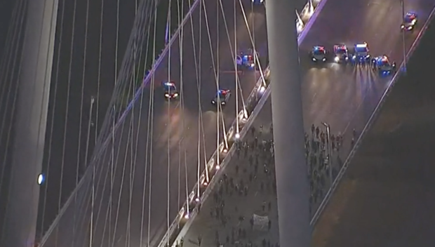 Dallas protesters on Margaret Hunt Hill Bridge 