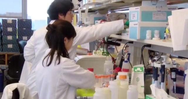 COVID-19 vaccine could start human trials as early as August