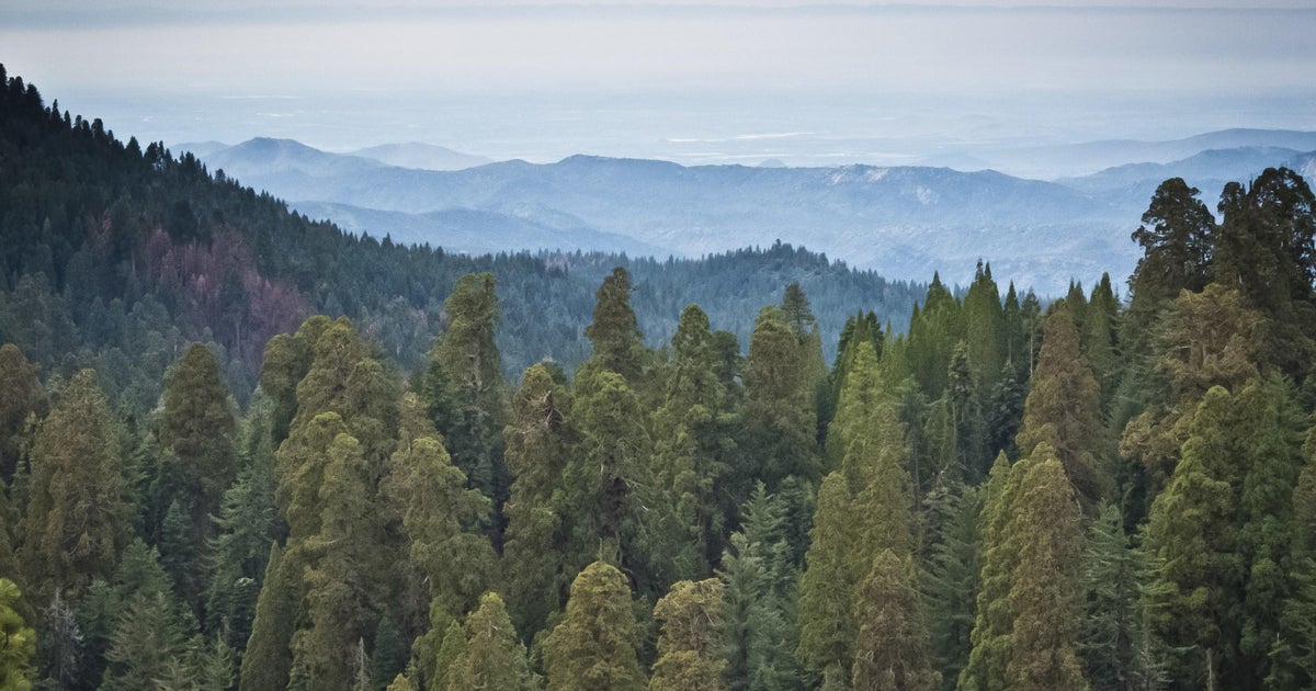 Hiker falls 500 feet to his death from ridge at Sequoia National Park, woman falls trying to save him