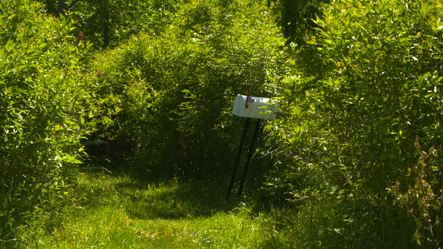 mailbox.png