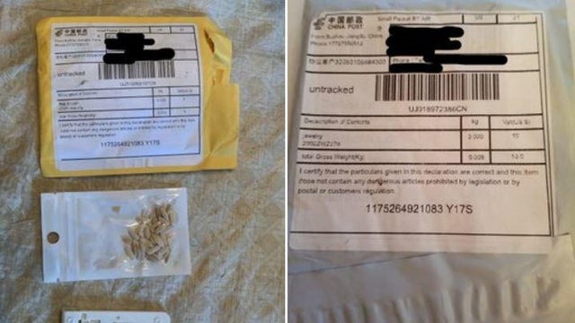 seeds-from-china-maryland.jpg 