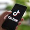 In this photo illustration a TikTok logo displayed on a 