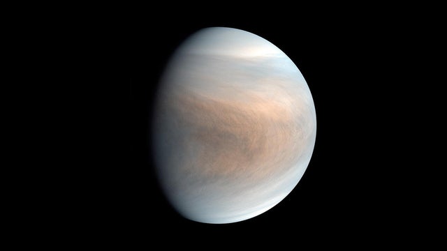 Venus Possible Life 