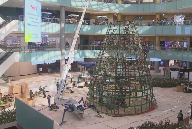Galleria Dallas Christmas tree going up 