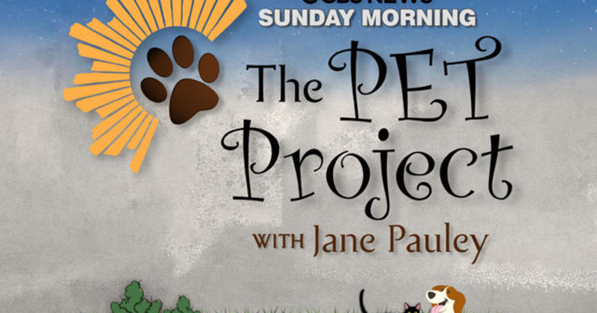 Don T Miss The Cbs Sunday Morning Primetime Special The Pet Project Cbs News