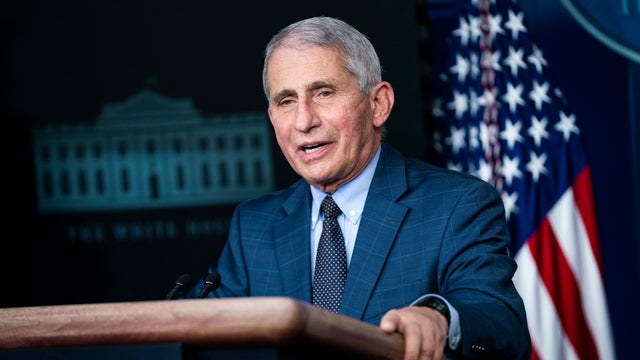 Anthony Fauci 