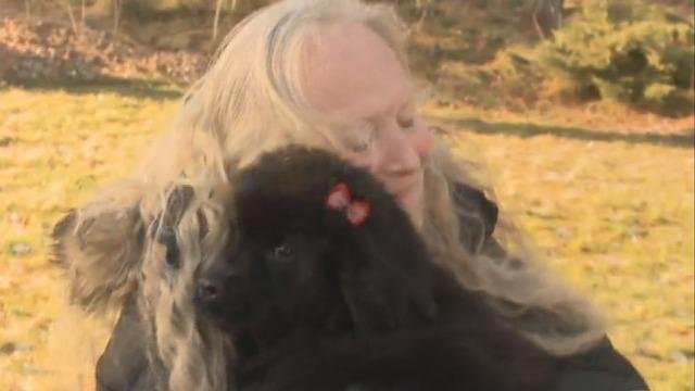 cbsn-fusion-viewer-donates-puppy-to-grieving-mother-who-was-scammed-out-of-thousands-of-dollars-thumbnail-606279-640x360.jpg 