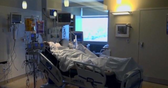 U.S. COVID-19 cases top 19 million