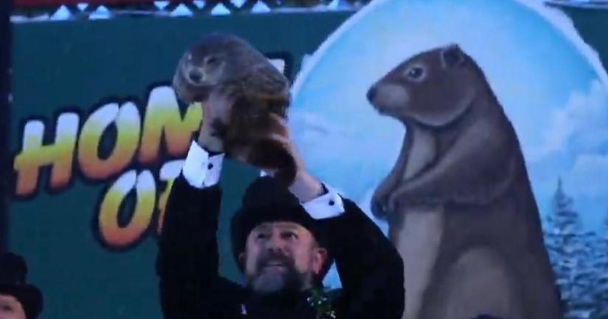 Groundhog Day 2021: Punxsutawney Phil predicts another 6 weeks of winter