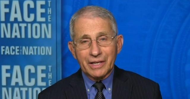 Fauci warns against complacency as virus cases begin to plateau despite vaccine
