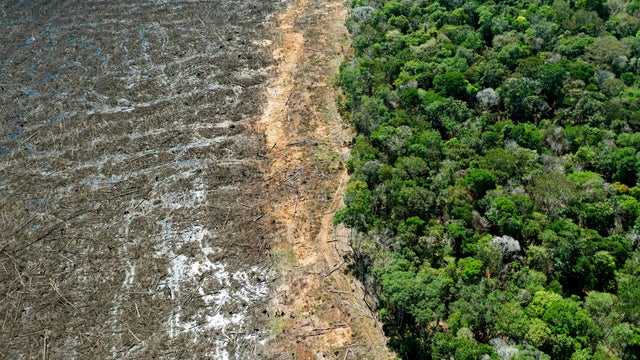 BRAZIL-ENVIRONMENT-DEFORESTATION 