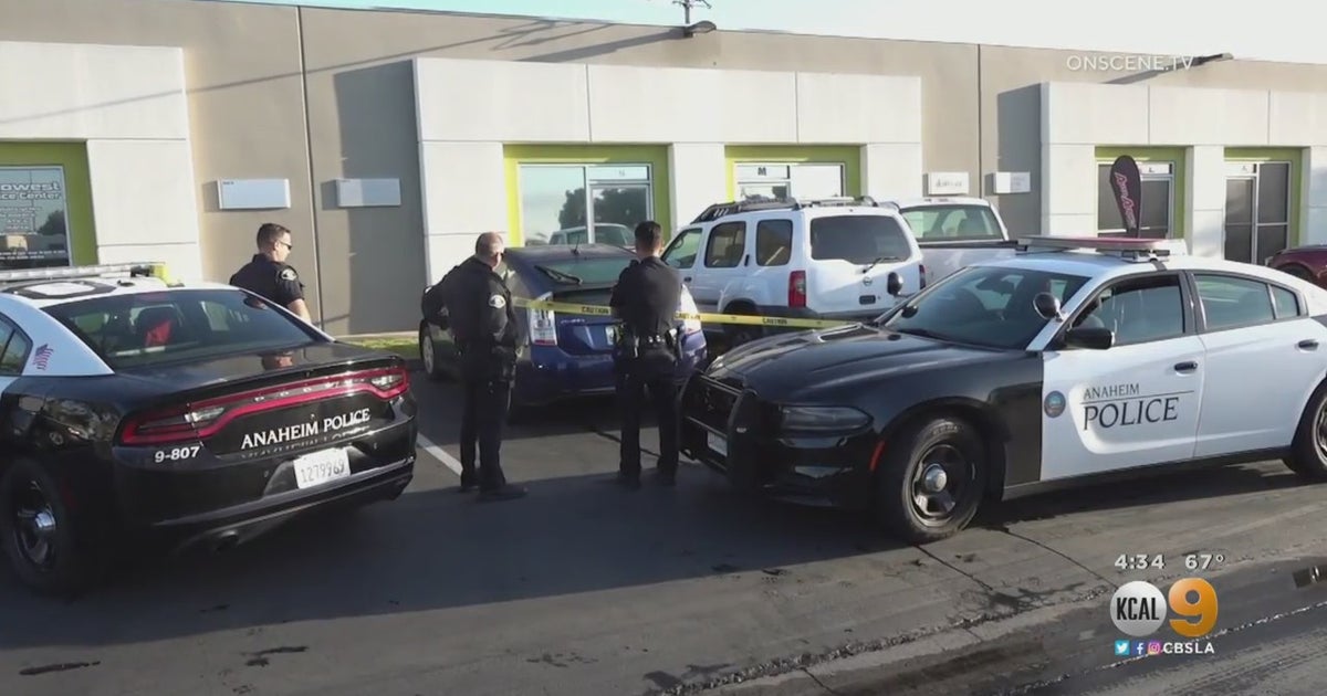 Apparent Catalytic Converter Thief Crushed To Death By Collapsing Car