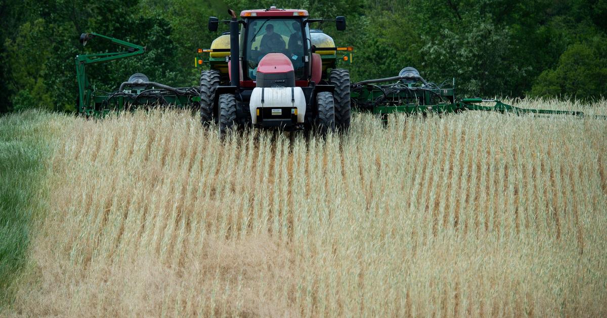 There are concerns in other states where farmworkers remain ineligible, including Georgia, Texas, and New York, said Sylvia Partida,sylEfforts to vaccinate farmworkers hindered by eligibility