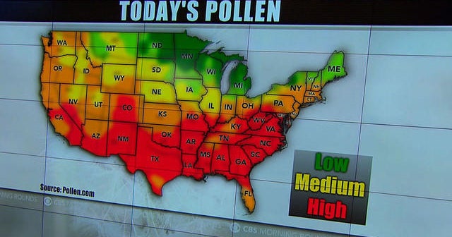 Allergy survival guide: Rough winter may lead to uncomfortable spring