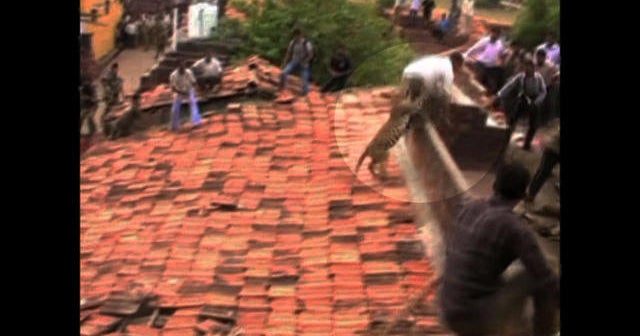 Leopard strikes panic in Indian village