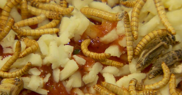 Belgian restaurant tops pizza with insects