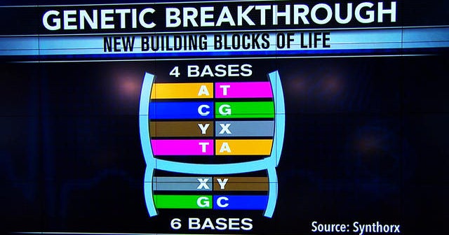 Living organism made with artificial genetic code