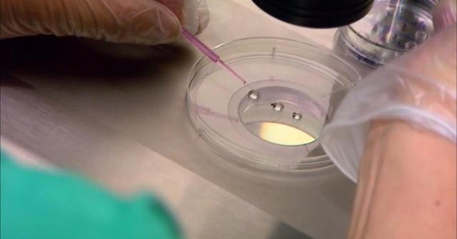 Fertility clinic hosts egg freezing party