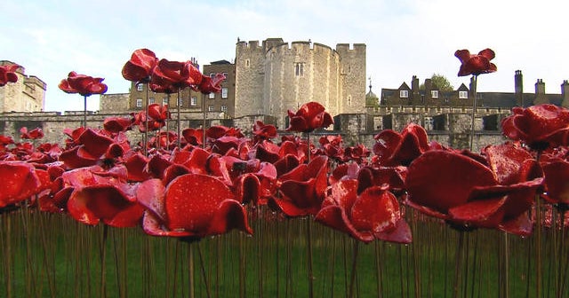British use poppies to commemorate WWI