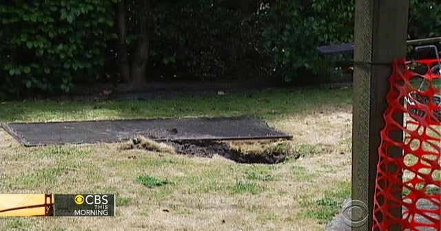 Sinkhole swallows woman hanging laundry