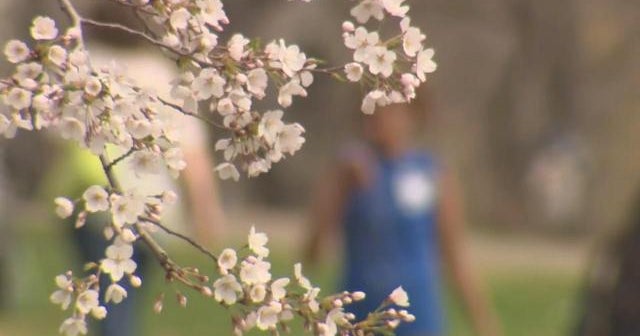 New advice for allergy season