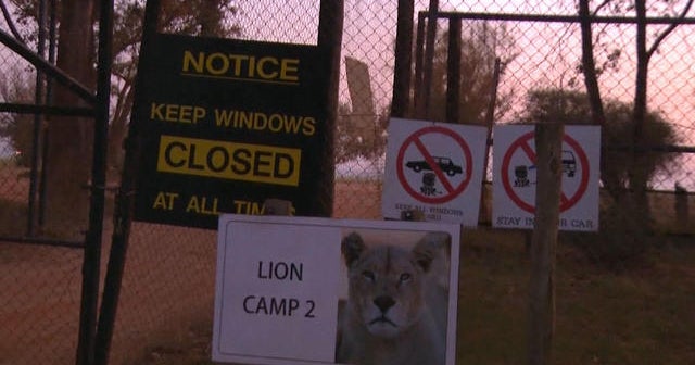 U.S. woman killed by lion mauling in South Africa