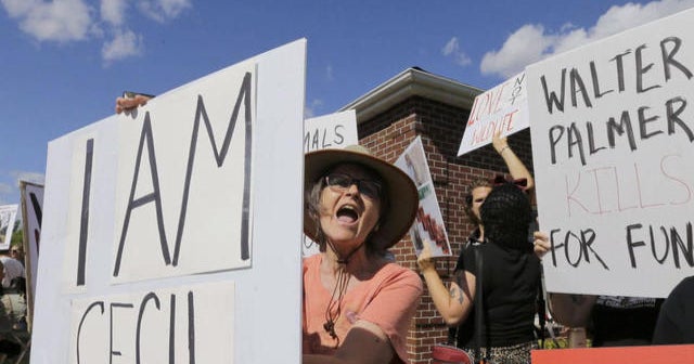 Zimbabwe seeks extradition of U.S. dentist who killed beloved lion