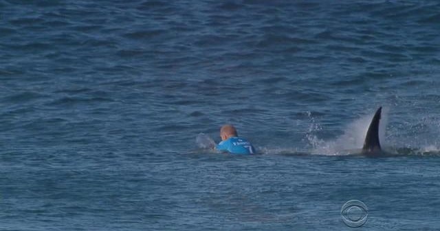 Watch: Surfer fights off shark