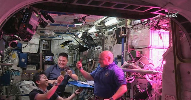 Lettuce is the first food grown in space