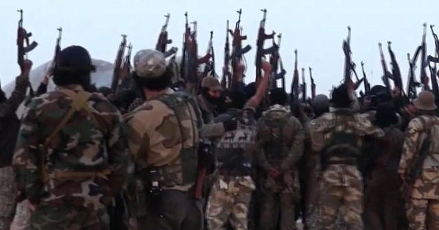 Al Qaeda head calls for lone wolf attacks