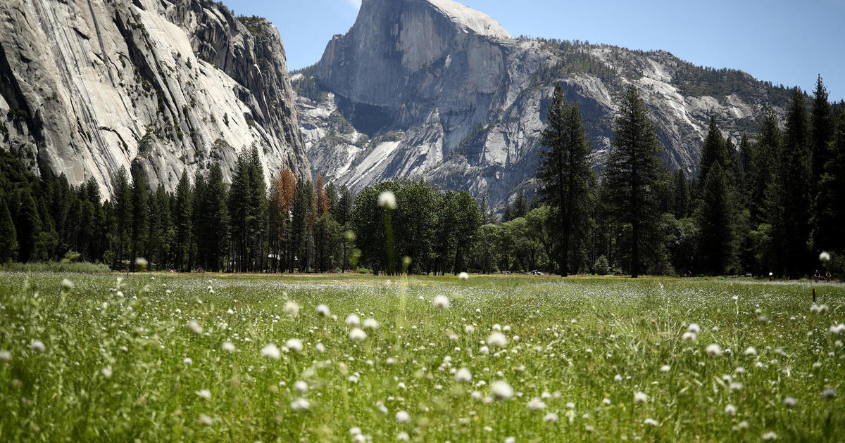Yosemite National Park to reopen to limited visitors this summer as pandemic continues